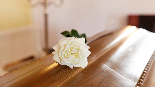 Weiße Rose liegt auf einem glänzenden Holzsarg in einem geschmackvoll dekorierten Raum.